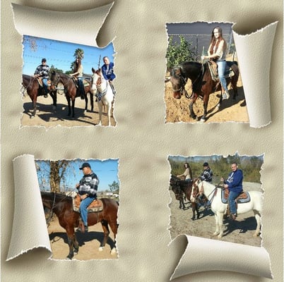 S&D Horseback Riding by null