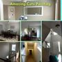 Photo of Amazing Cuts Painting