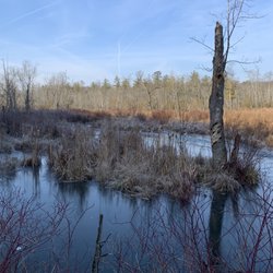 Pleasant Valley Preserve - View from beginning of trail.
