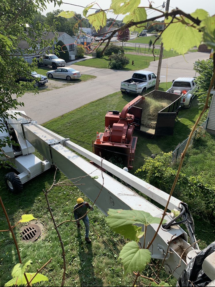 2 Brothers Tree Service - tree service in Sugar Grove, IL