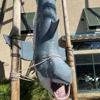 Bruce The Shark - Public Art Near Me - Destin, Florida Bruce The Shark - Public Art Near Me - Destin, Florida