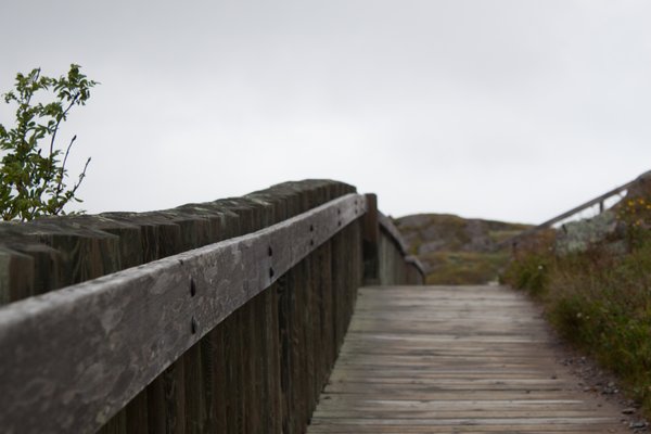 Signal Hill National Historic Site by null
