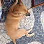 Photo of Ponto da Saúde
