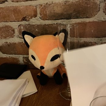 Mr Fox - Mr Fox stuffed animal that we brought! - Irish Near Me - Dublin, D