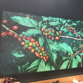 Starbucks - Coffee & Tea Near Me - Allen, Texas Starbucks - Coffee & Tea Near Me - Allen, Texas