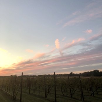 Arché Winery & Vineyard - Wineries Near Me - Saint Jo, Texas