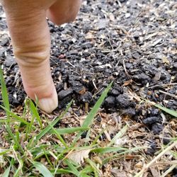 Triple Crown Paving