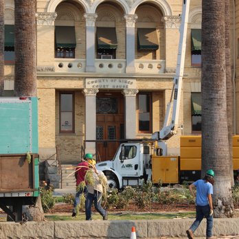 NCE Tree Services - Tree Services Near Me - Hanford, California NCE Tree Services - Tree Services Near Me - Hanford, California