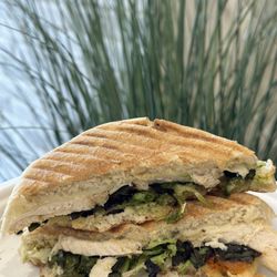 Vitality Bowls - **Power Panini: 6.5/10** - Decent, but the thin chicken layer lacked flavor. Extra pesto sauce improved it.