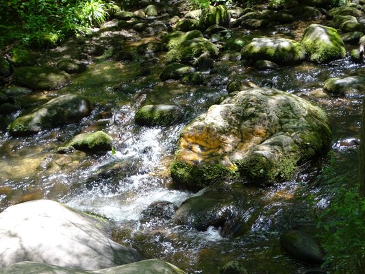 Cataract Falls by null