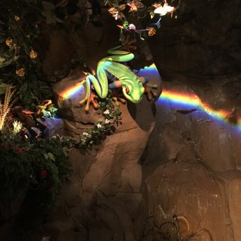 Rainforest Cafe - Inside decor. Animals everywhere you look. - American Near Me - Atlantic City, New Jersey Rainforest Cafe - Inside decor. Animals everywhere you look. - American Near Me - Atlantic City, New Jersey