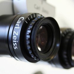 Watermark Endodontics - Surgical Zeiss Microscope