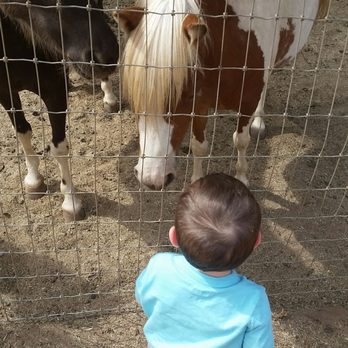 Alpine Acres Sanctuary Farm - Ranches Near Me - Alpine, California