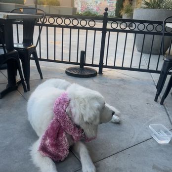 Bushfire Kitchen - La Costa - American Near Me - Carlsbad, California