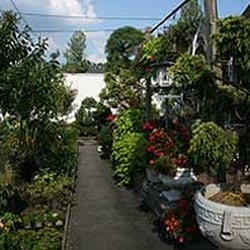 Tony Di Stefano Landscaping