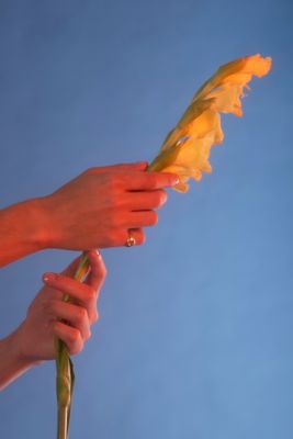 Fitzgerald Jewelry by null