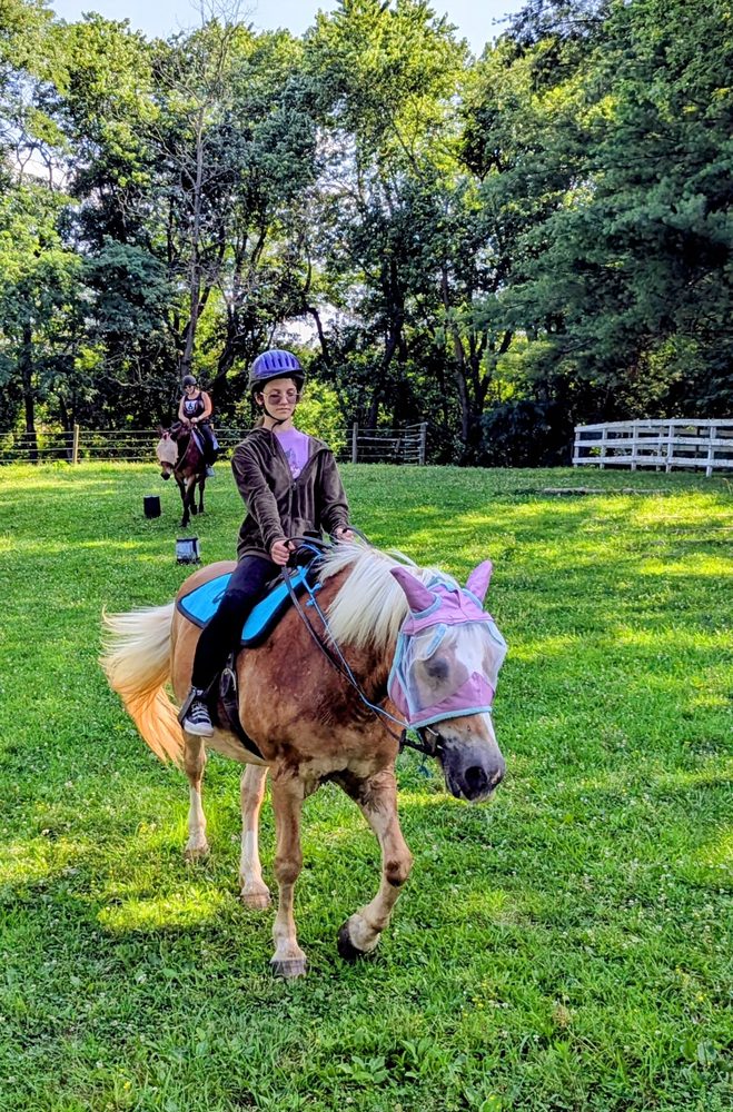 Horseback riding at First Farm Inn - equestrian in Petersburg, KY