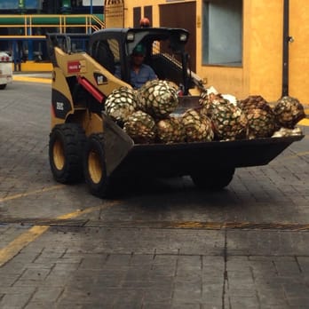 Mundo Cuervo - Piña coming in to be baked - Tours Near Me - Guadalajara, JAL