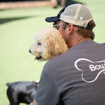 Bowhaus - Boulder - Pet Sitting Near Me - Boulder, Colorado Bowhaus - Boulder - Pet Sitting Near Me - Boulder, Colorado