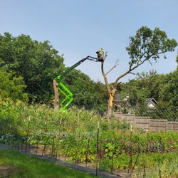 Simpson & Sons Tree Service