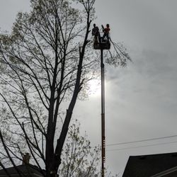 M and A Services - Just another day at the office