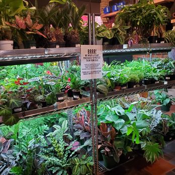 MOD GEN - Updated February 2026 - 143 Photos & 59 Reviews - 211 N ...