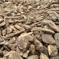 O.F. Wolfinbarger - Jumbo bark