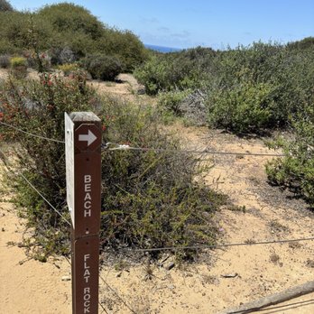 Torrey Pines State Reserve - Parks Near Me - La Jolla, California Torrey Pines State Reserve - Parks Near Me - La Jolla, California