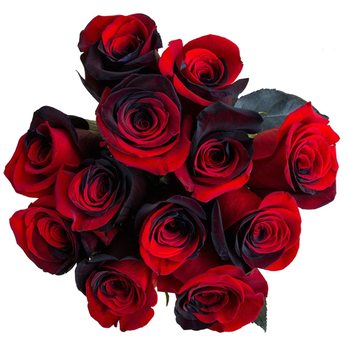 A Country Rose Flower Shop - This is what I asked for - Florists Near Me - Henderson, Nevada A Country Rose Flower Shop - This is what I asked for - Florists Near Me - Henderson, Nevada