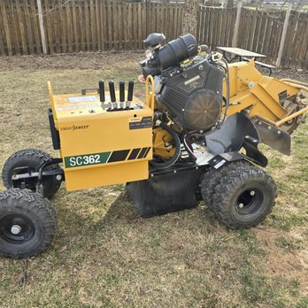 Brown County Tree Service - Tree Services Near Me - Green Bay, Wisconsin Brown County Tree Service - Tree Services Near Me - Green Bay, Wisconsin