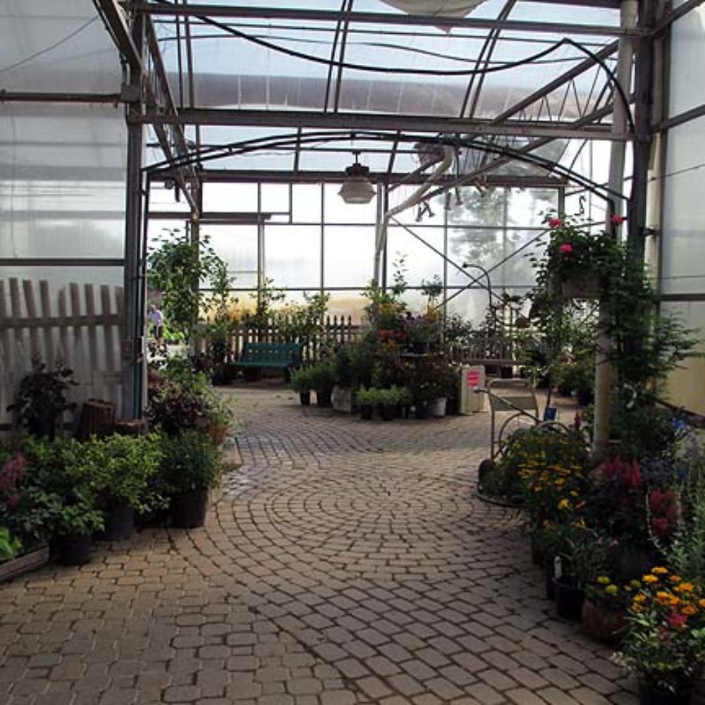Lodi Farms - Nice greenhouse. - Nurseries & Gardening Near Me - Ann Arbor, Michigan Lodi Farms - Nice greenhouse. - Nurseries & Gardening Near Me - Ann Arbor, Michigan