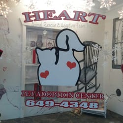 Heart Animal Rescue & Adoption Team