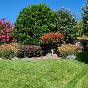 Brother's Landscaping Services - a garden with a gazebo - Landscaping Near Me Brother's Landscaping Services - a garden with a gazebo - Landscaping Near Me
