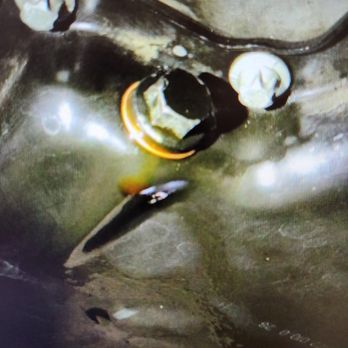 Wilhelm Automotive - The oil plug was loose - Auto Repair Near Me - Peoria, Arizona