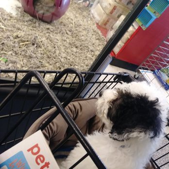 Petco - Pet Stores Near Me - Vista, California Petco - Pet Stores Near Me - Vista, California