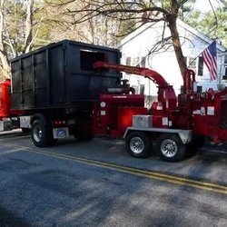 Bill Henry Tree Service