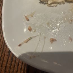 Longhorn Salmon