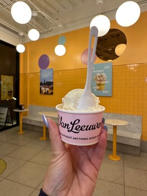 Van Leeuwen Ice Cream by null