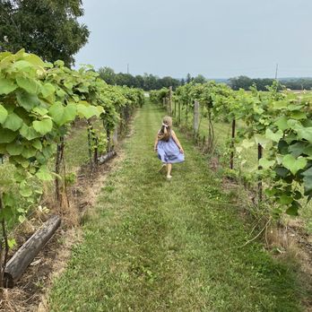 Over The Vines - a woman walking through a vineyard - Venues & Event Spaces Near Me - Edgerton, Wisconsin