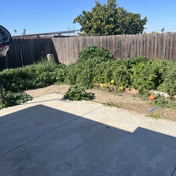 AR Tree Service & Landscape - Before AR - Tree Services Near Me AR Tree Service & Landscape - Before AR - Tree Services Near Me