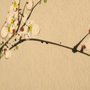 Photo of Red Earth Acupuncture And Oriental Medicine