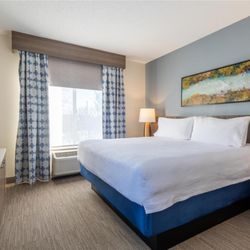 Hilton Garden Inn Auburn Lewiston Riverwatch - Guest room