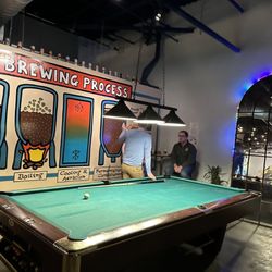 Bald Birds Brewing Company