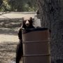 Gabrielino Trail