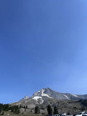 Mt Hood by null