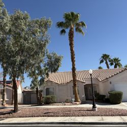 Palms Plus Services
