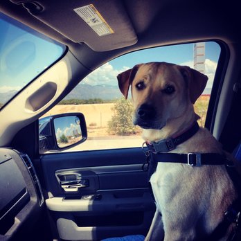 Arizona Spay Neuter - Veterinarians Near Me - Tucson, Arizona