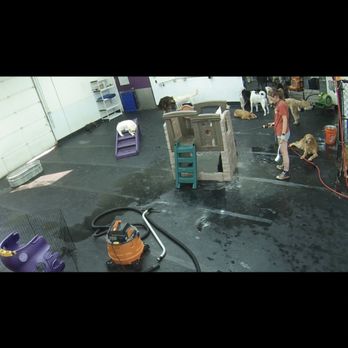 Barkzone- Bethany - Dirty floor - Pet Groomers Near Me - Beaverton, Oregon Barkzone- Bethany - Dirty floor - Pet Groomers Near Me - Beaverton, Oregon