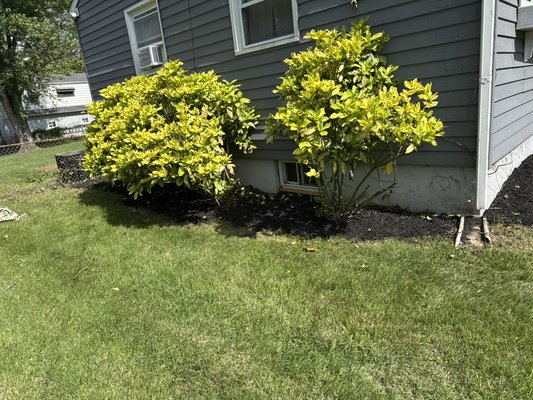 Landscape/Tree Service - Landscape and Tree service Landscape/Tree Service - Landscape and Tree service