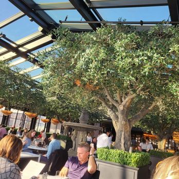 RH Rooftop Restaurant at RH Oak Brook - General pic .. nice open feel - Breakfast & Brunch Near Me - Oak Brook, Illinois RH Rooftop Restaurant at RH Oak Brook - General pic .. nice open feel - Breakfast & Brunch Near Me - Oak Brook, Illinois